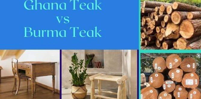 Applications and uses difference between burma teak and ghana teak wood Applications and uses difference between burma teak and ghana teak wood