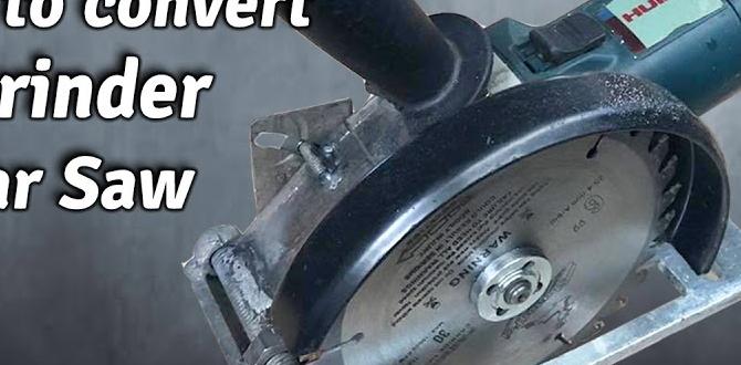 Cost and availability difference between angle grinder and circular saw Cost and availability difference between angle grinder and circular saw