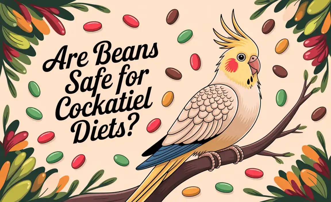 Are Beans Safe For Cockatiel Diets