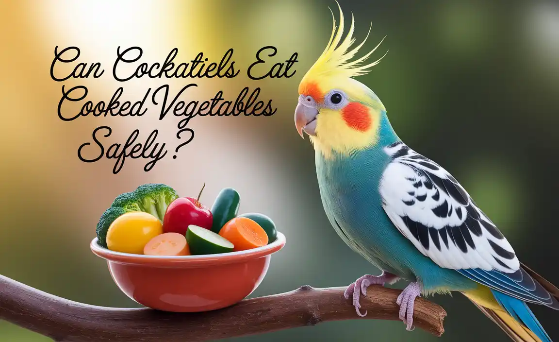 Can Cockatiels Eat Cooked Vegetables Safely