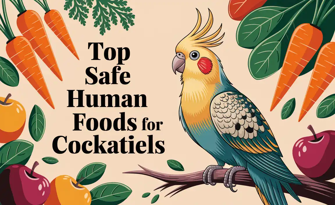 Top Safe Human Foods For Cockatiels