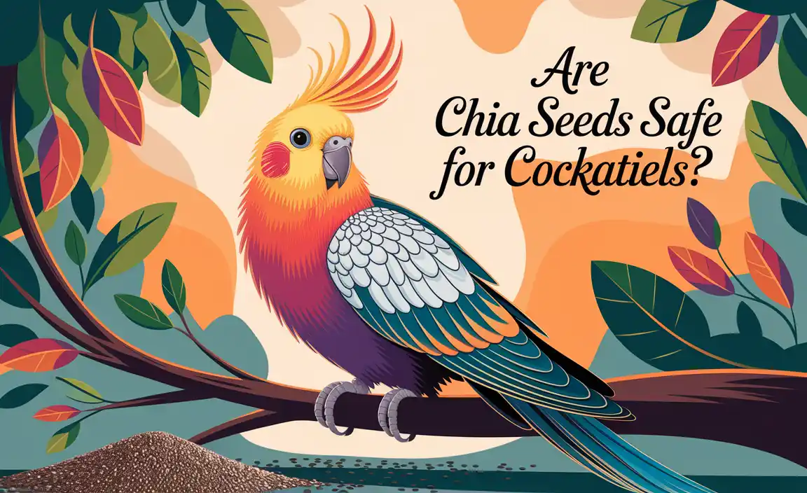 Are Chia Seeds Safe For Cockatiels