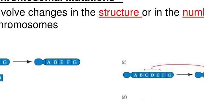 Are some mutations more distinguishable than others?