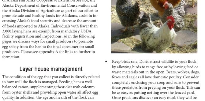Best practices for egg laying care
