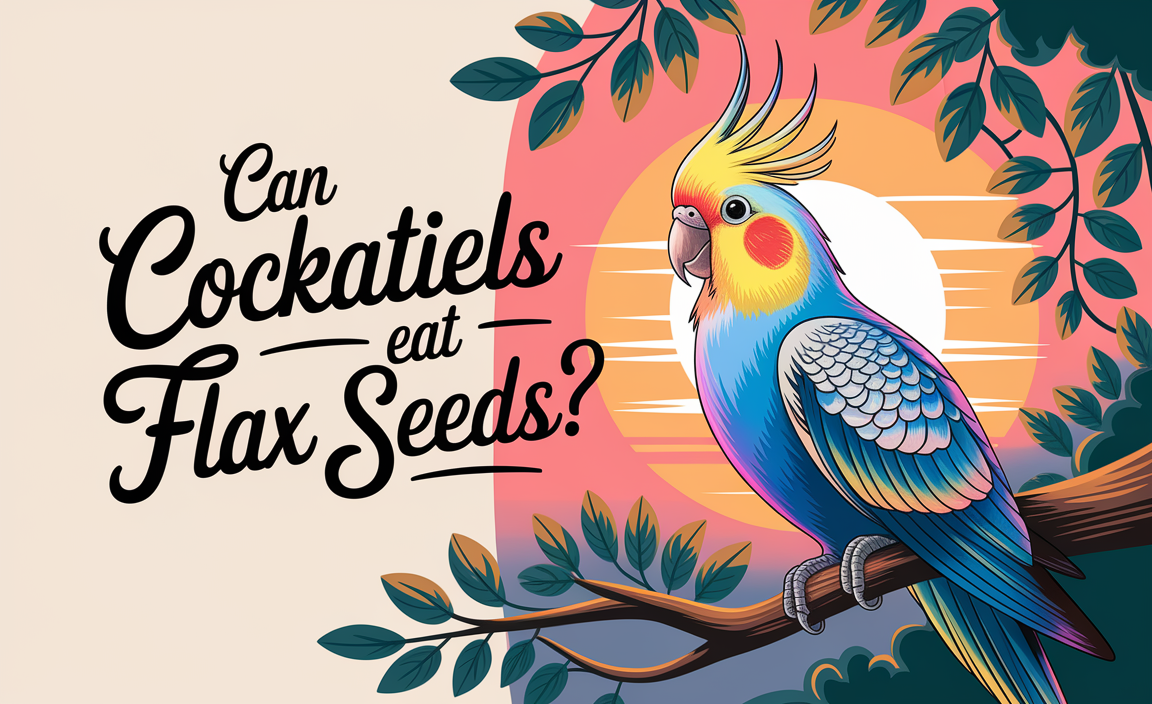 Can Cockatiels Eat Flax Seeds