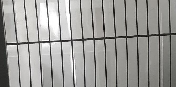 Can cockatiels mate in a community cage?