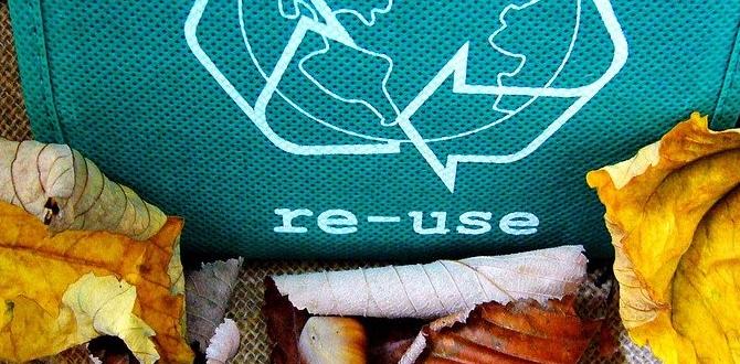 Can environmental changes disrupt laying?