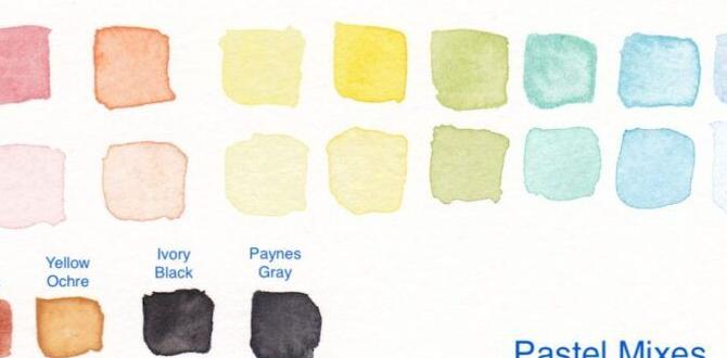 Comparison of pastel and dilute color types