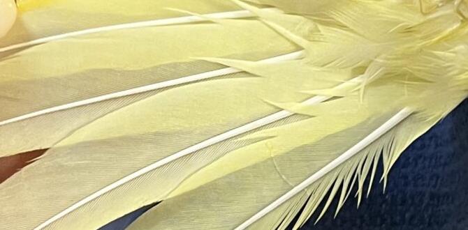 Do bonded pairs share egg sitting duties?