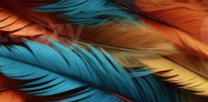 Do split colors show in feather texture?