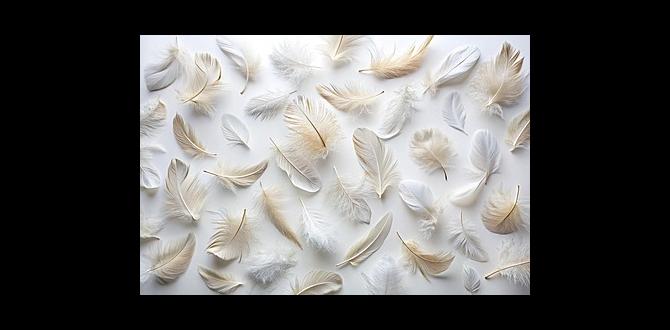 Does feather texture affect color appearance? Does feather texture affect color appearance?