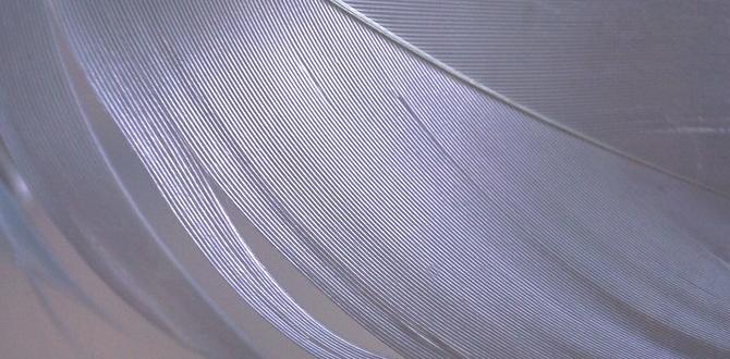 Does light exposure change feather hue? Does light exposure change feather hue?