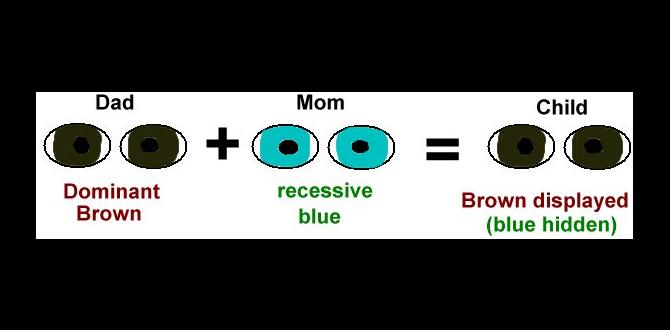 Dominant vs recessive color variations in genetics