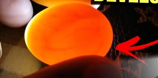 How to candle cockatiel eggs safely