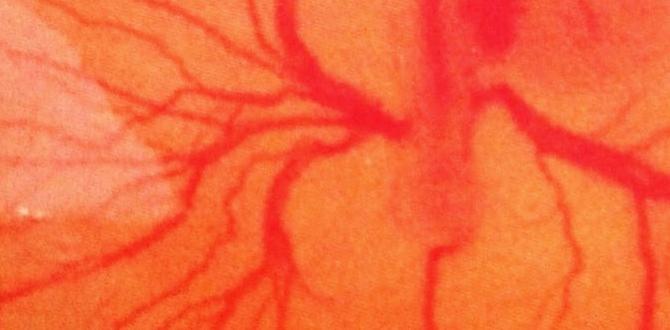 How to check if an egg is being incubated