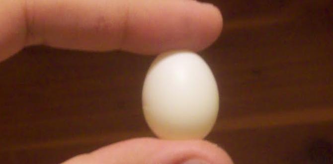 How to know if cockatiel eggs are viable