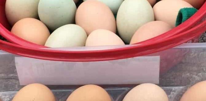 How to know if mating will lead to eggs