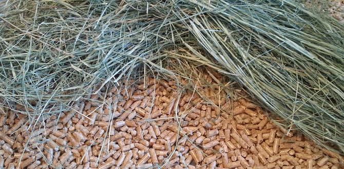 How to prepare a cage for mating How to prepare a cage for mating