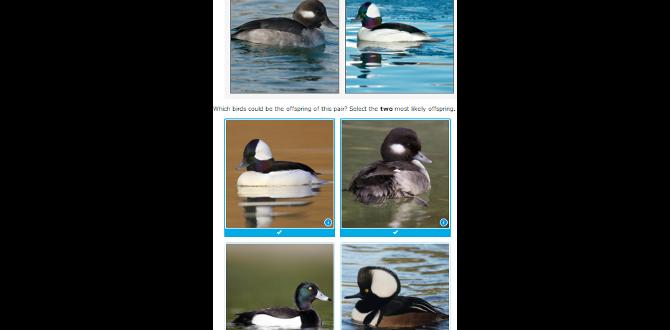 How to spot inherited markings in offspring How to spot inherited markings in offspring