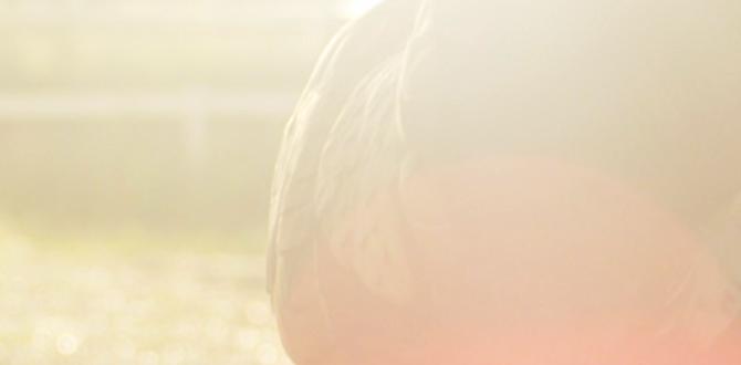 Is light exposure related to egg laying?