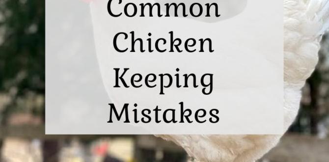 Mistakes to avoid in chick ID