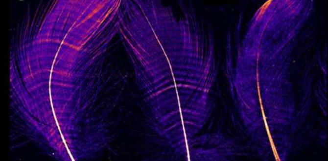 Mutation specific feather location patterns