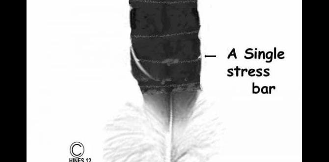Recognizing stress bars in feather ID Recognizing stress bars in feather ID