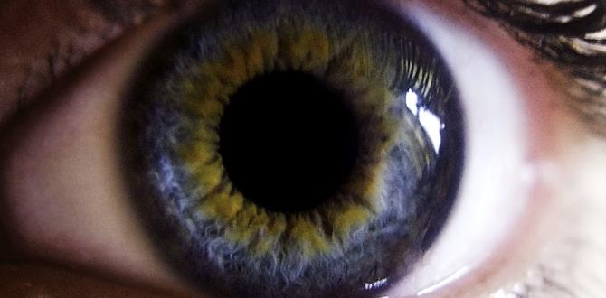 Red eyed vs dark eyed color mutations