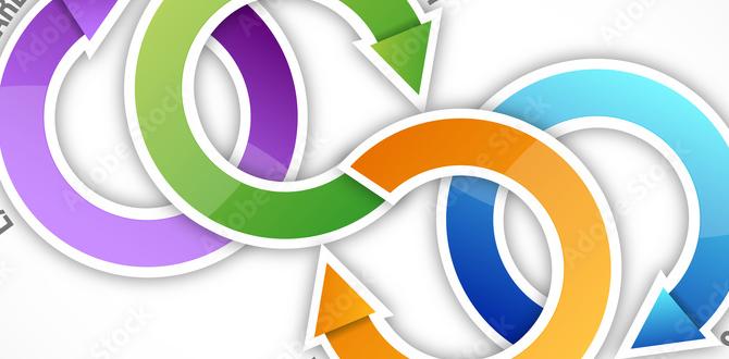 What does a healthy laying cycle look like?