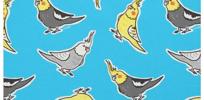 What is a spangle pattern in cockatiels?