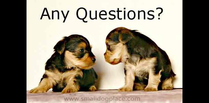 What to ask breeders for ID clarity