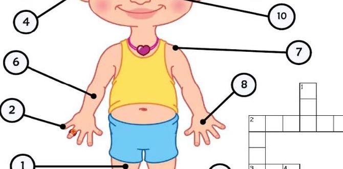 Which body parts provide best ID clues?