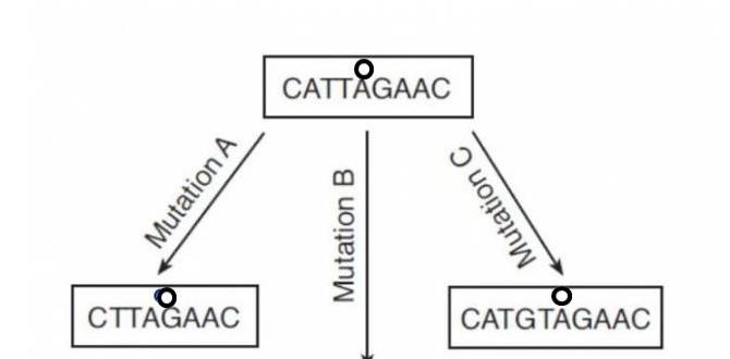 Which mutations are easiest to ID visually?